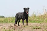 BEAUCERON 031